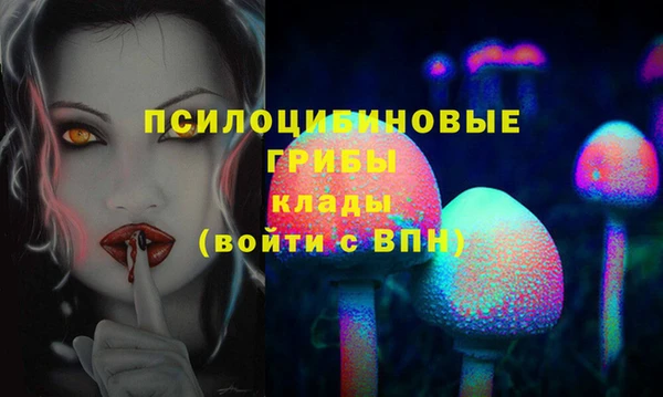 молекула духа Пролетарск