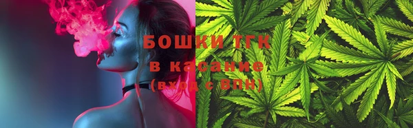 тгк Протвино
