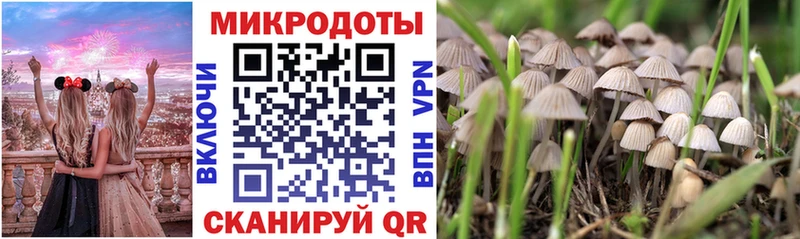 Псилоцибиновые грибы прущие грибы  Вичуга 